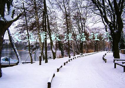 交通事故保险公司理赔程序(交通事故保险理赔程序)