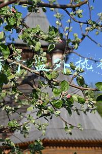 暂予监外执行的决定机关(暂予监外执行期间犯新罪 应如何处理)