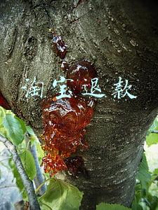 淘宝退款