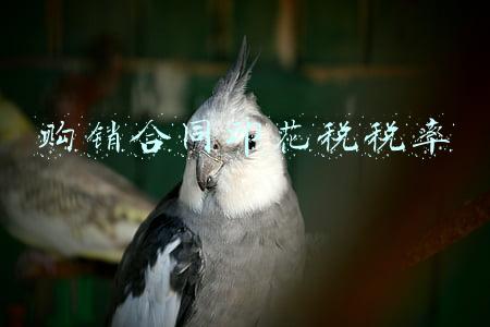 购销合同印花税税率