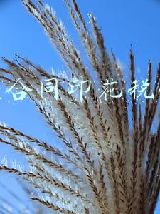 印花税购销合同计税依据税率(购销合同印花税税率以及计税依据)