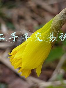 二手车交易税