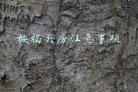 买房按揭贷款注意事项(按揭购房全攻略！流程、手续、贷款方式等等应有尽有)