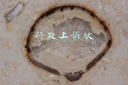 行政上诉状怎样写(法律文书写作方法(一)行政起诉状)