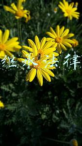 房产继承法律咨询