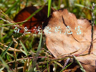 白色污染的危害