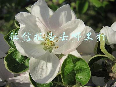 征信报告去哪里打