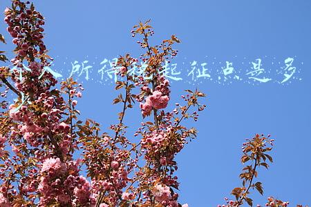 个人所得税起征点是多少