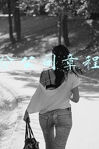 分公司章程