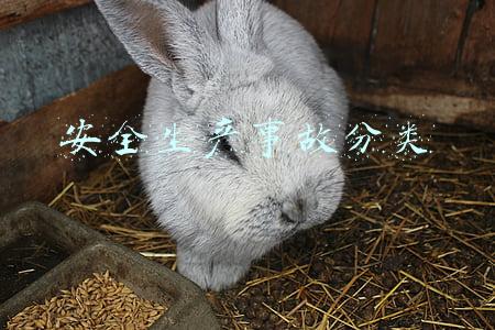 安全生产事故分类