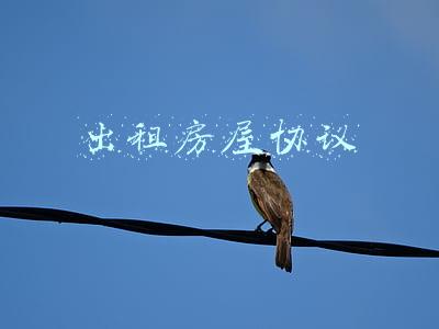 出租房屋协议