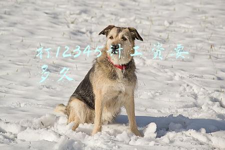 打12345讨工资要多久义乌市江东街道青口村劳动局在那(宁波管控连夜升级，杭州、绍兴、金华等地“最严禁令”都来了)