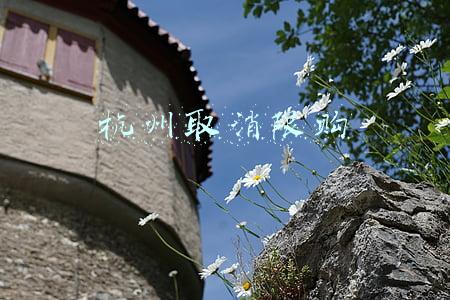杭州取消限购