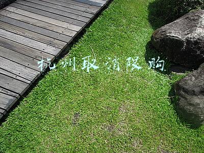 杭州取消限购