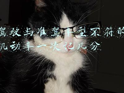 驾驶与准驾车型不符的机动车一次记几分
