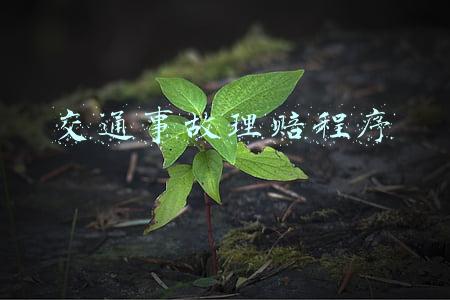 交通事故理赔程序