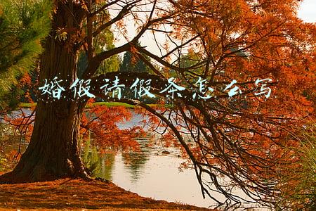 婚假请假条怎么写