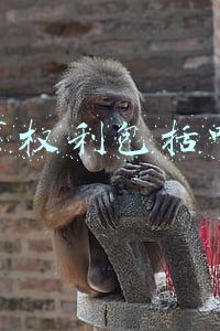 民事权利包括哪些