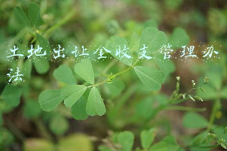土地出让金收支管理办法
