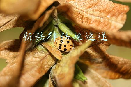 新法律法规速递