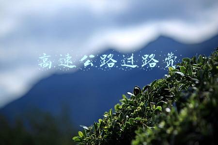 高速公路过路费
