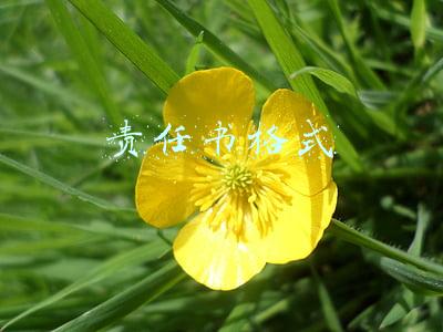 责任书格式