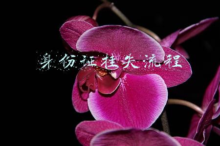 身份证挂失流程