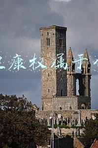 生命健康权属于什么权