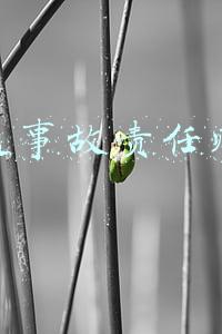 交通事故责任赔偿