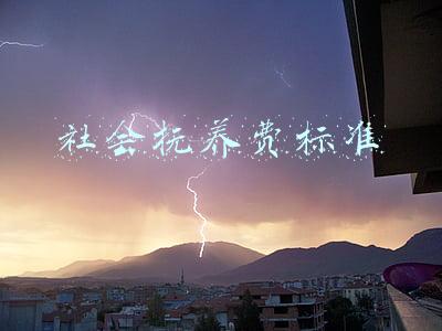 社会抚养费标准