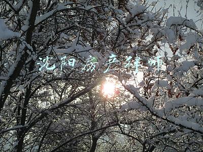 沈阳房产律师