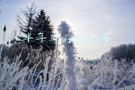 半年期存款利率