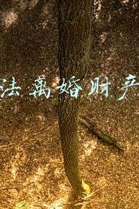 婚姻法离婚财产分配