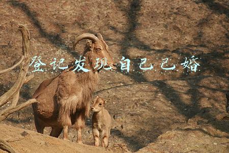 怎么查自己已婚(如何查询对方是已婚还是未婚？)