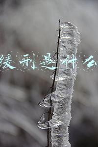 刑法死缓刑是什么意思(致人死亡的案件中，自首就可以换得缓刑，刑罚可以如此温和么？)