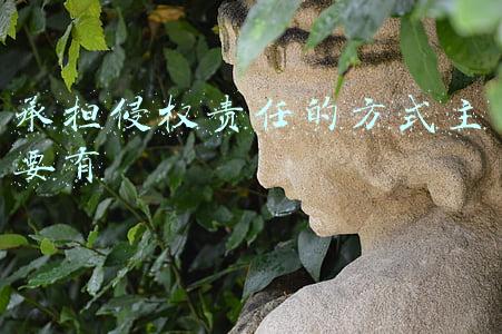 承担侵权责任的方式主要有