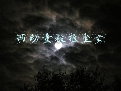两幼童被推坠亡