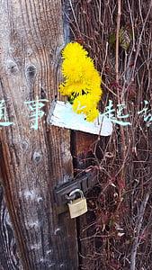 交通事故起诉状应该怎么写(交通事故起诉状（模版）)