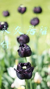外国人永久居留身份证申请条件