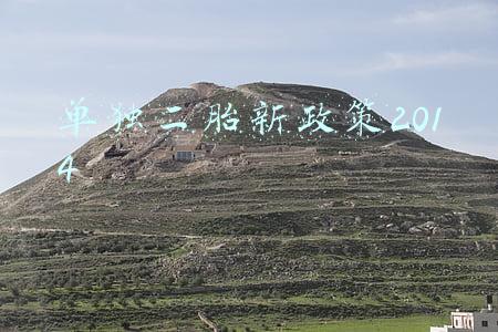 单独二胎新政策2014