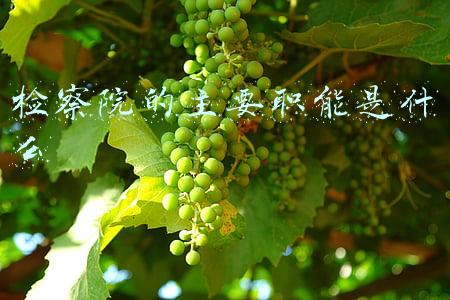 检察院的职责有哪些(近距离让企业全面了解检察机关的职责职能)