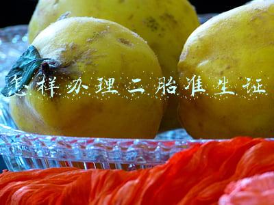 怎样办理二胎准生证