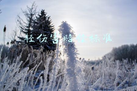 轻伤害赔偿标准