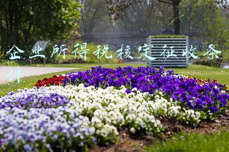 企业所得税核定征收条件