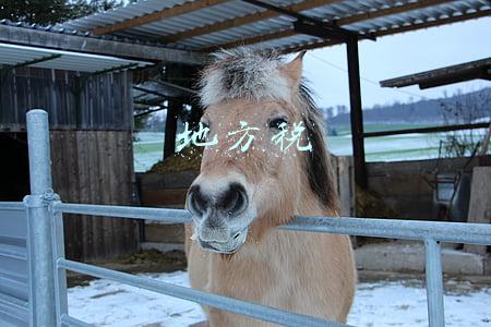 地方税
