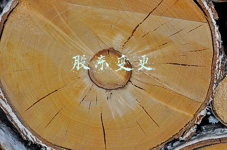 股东变更