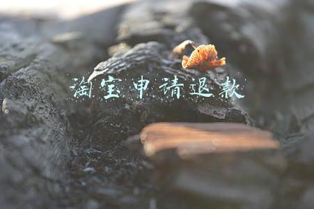 淘宝申请退款怎么撤销不了(在淘宝上网购商品要退货 商家收到后迟迟未退款)