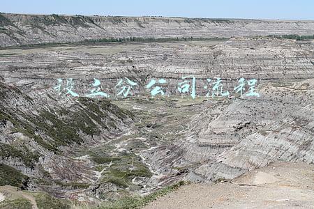 设立分公司流程