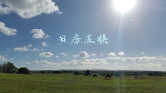 日房置换