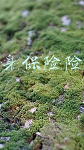 人身保险险种